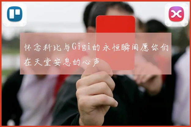 怀念科比与Gigi的永恒瞬间愿你们在天堂安息的心声